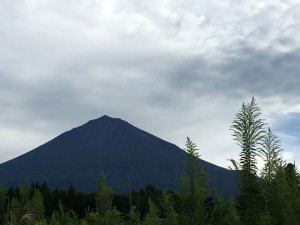 南陵から見る富士山