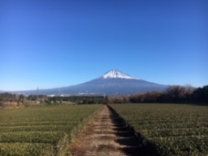 取締役からの「富士山と弊社写真」