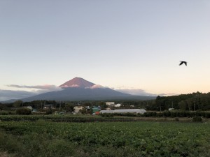 今日の富士山〜夕方
