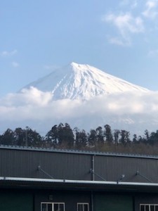 せっかくなので土曜日の富士山