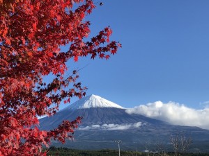 今日の富士山！