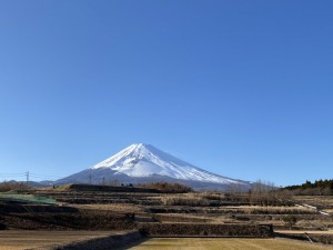 裾野側の今日の富士山