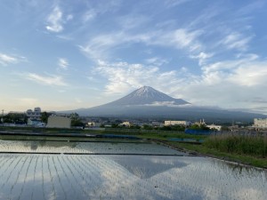 日曜の富士山