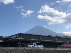 今日の富士山 (5)