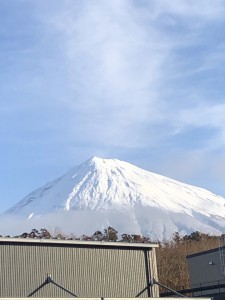 いつもの富士山