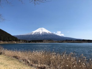 富士山は雪がよく似合う