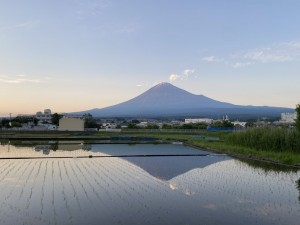 2021田んぼの鏡の富士山