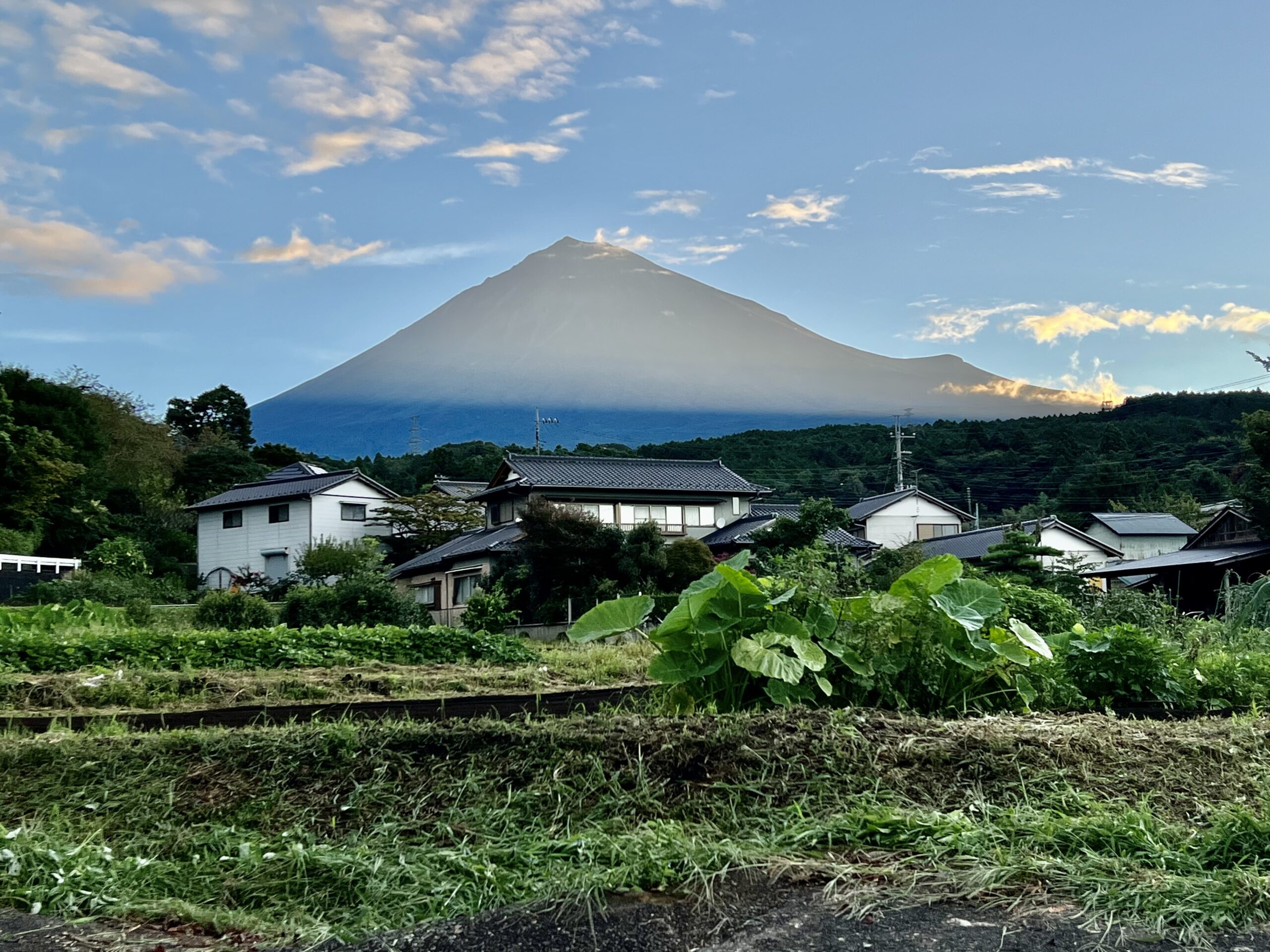早朝の富士山 背景