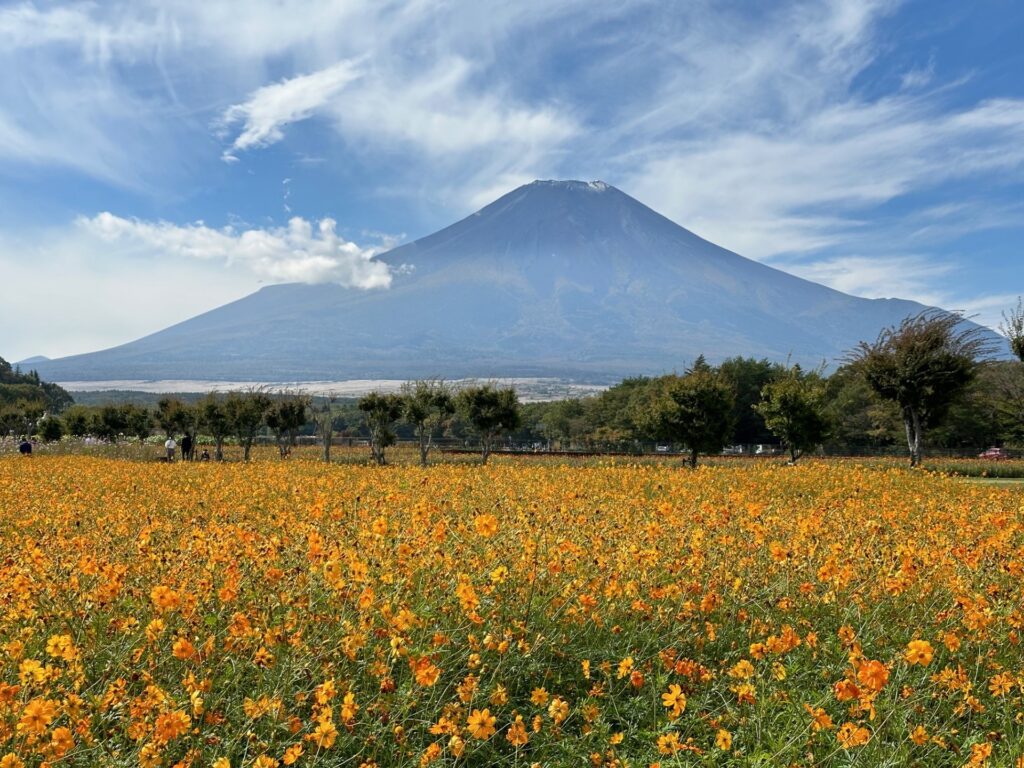 富士五湖からの富士山｜富士宮通運株式会社