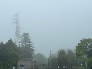 今日の富士山