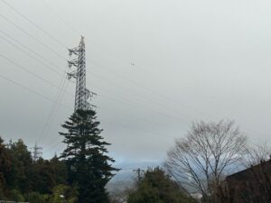 今日の富士山